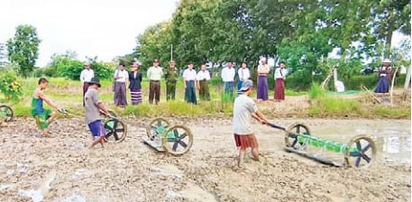 勃固省莫荣县区重新种植遭洪涝灾害损毁的农田