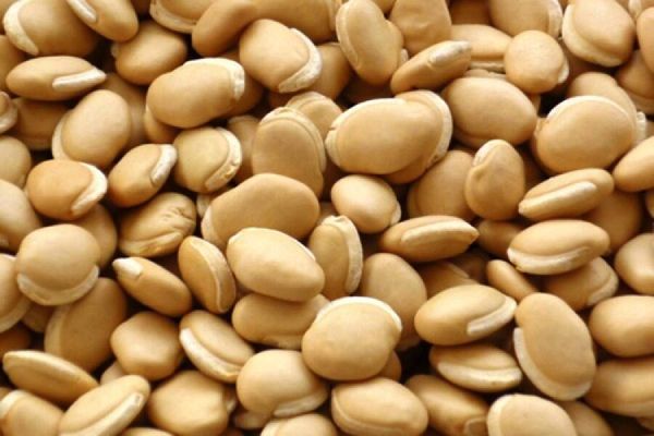 曼德勒大都市市场上扁豆这一豆类自9月份开始畅销