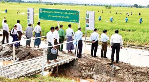 内比都地区农田遭大水淹没的情况