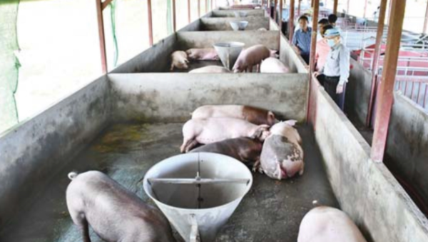 克伦邦养殖特区情况介绍