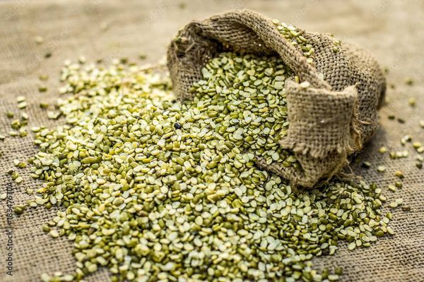 实皆省格礼专区今年冬季将种植7千多英亩扁豆