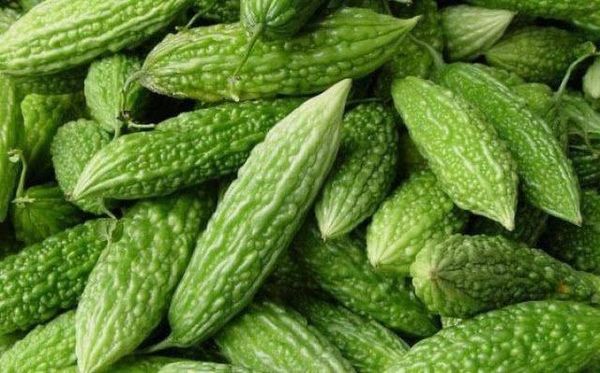 伊洛瓦底省姜贡县区生产出来的苦瓜正在热销之中