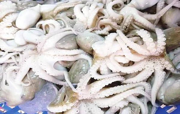 伊洛瓦底省壁榜县区8月份期间向仰光市输送出章鱼7.5万缅斤