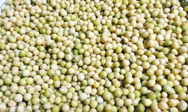 伊洛瓦底省勃生县区豌豆交易情况良好