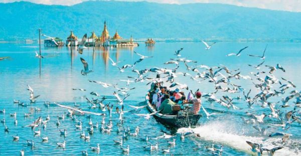 克钦邦茵都基湖内栖息生活着多种水生物及各种鱼类