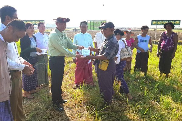孟邦直通县区今年冬季规划种植冬绿豆作物2万多英亩
