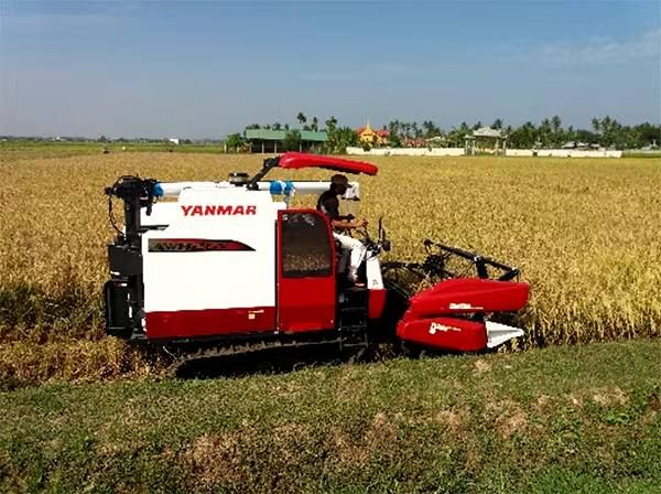 伊洛瓦底省渺弥亚县区完成本财年雨季稻9.7万多英亩收割工作