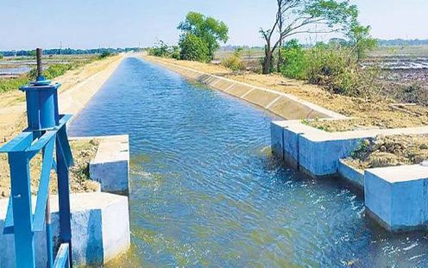 仰光省岱枝专区规划种植2.9万多英亩夏季稻已开始提供农业用水