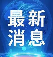 缅甸：逮捕29人