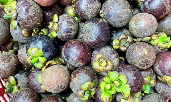 孟邦榜县季节性水果山竹上市获得了好价钱