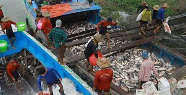 手機掃碼安裝Mksport