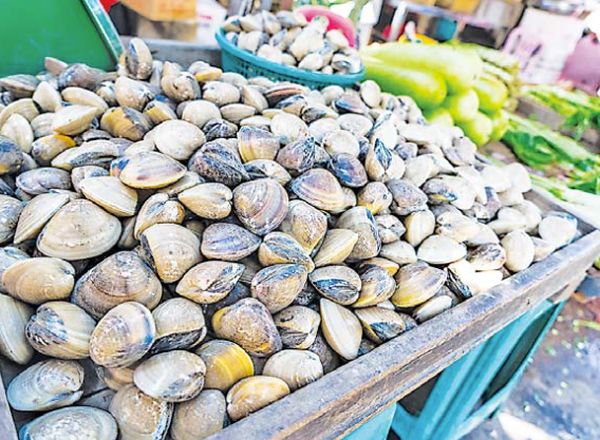 伊洛瓦底省毛淡棉遵县区5月间向仰光市输送出绿蚌米7万缅斤