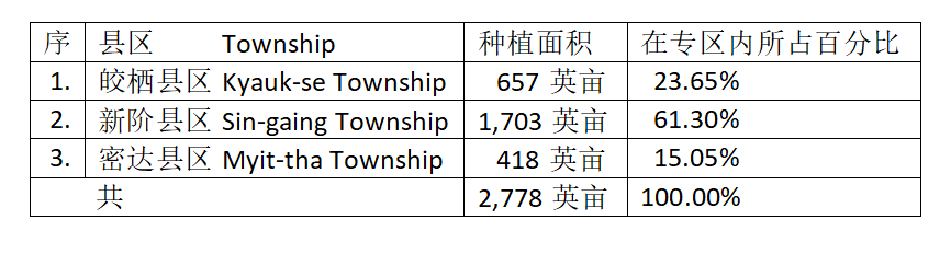 全明星足球益智