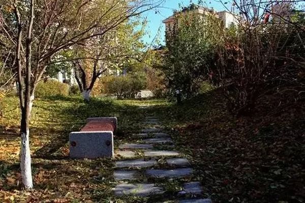 归根，归宿  (苏丽蓉)