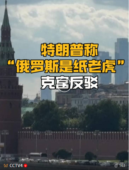 “纸老虎” “不，是熊”