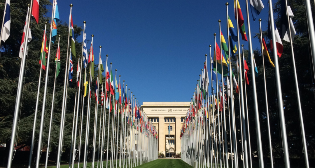 中国籍委员，成功连任！