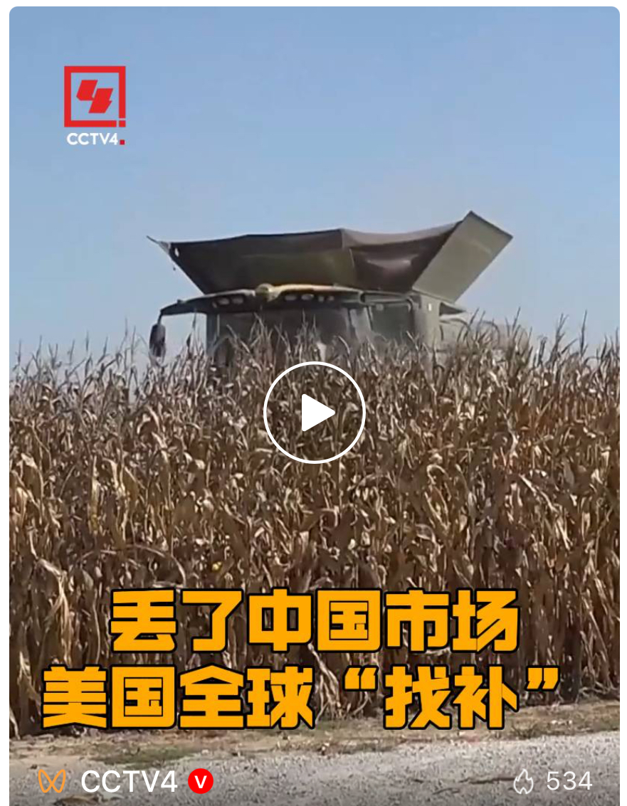 “5月起中国一粒都没买”  丢了中国市场的美国使劲“找补”