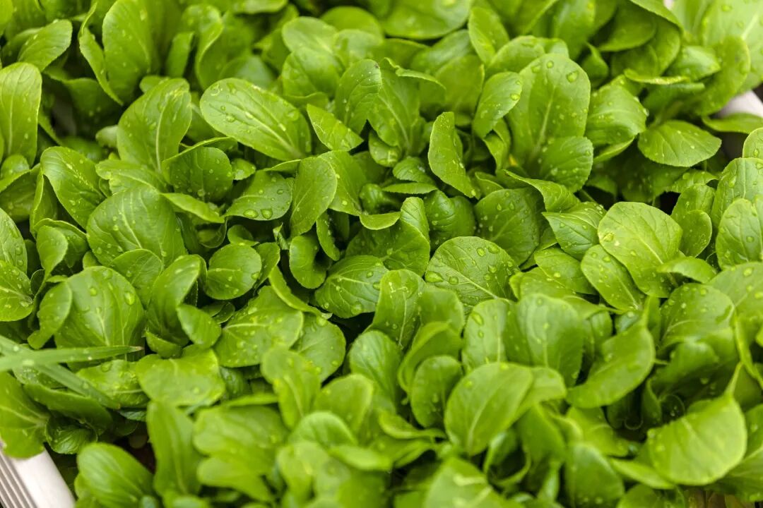 身体各器官衰老时间表（附预防方法）