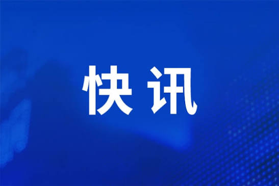 公安机关侦破缅北果敢徐发启（徐老发）犯罪集团专案
