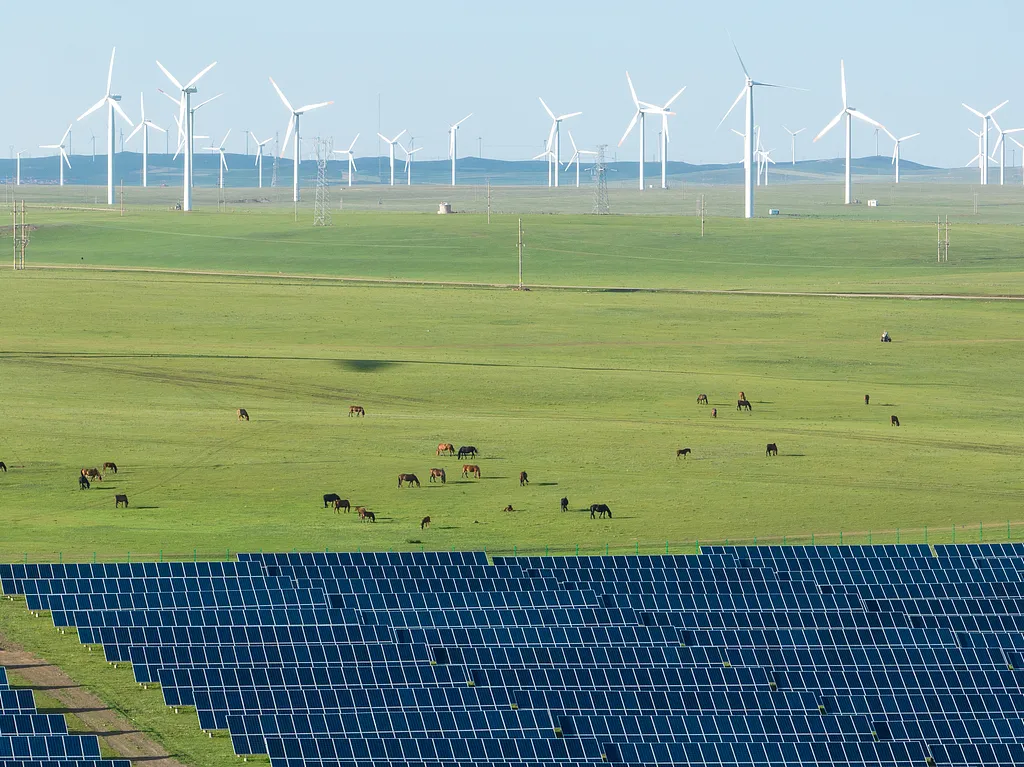 聚焦发展的中国，为不确定的世界带来信心