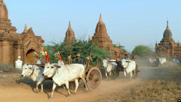 旅游季节到来游客们可乘坐热气球观赏蒲甘古文化遗产区地面美景