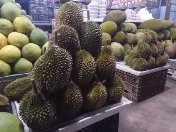 缅甸榴莲计划通过GACC渠道正式对华出口