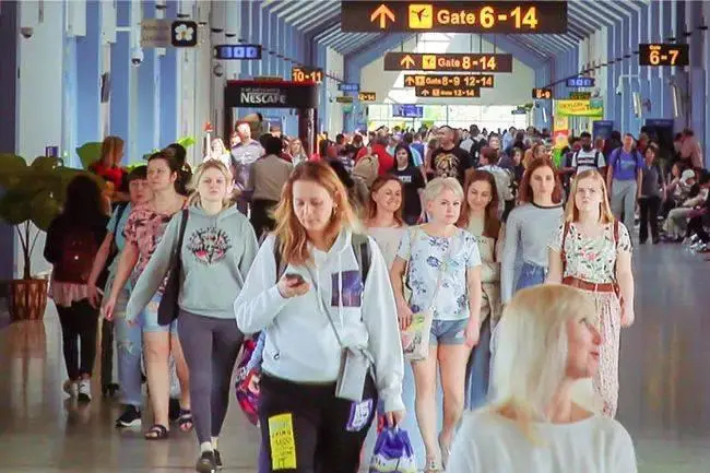 斯里兰卡国家今年头10个多月接待国际游客190万多人