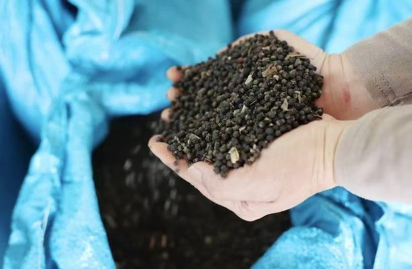 越南国家今年头10个月出口胡椒20多万吨获得13亿多美元收入