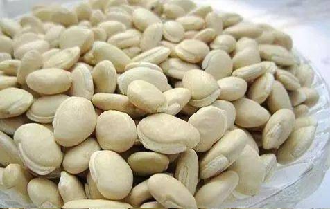 马圭省本漂县区今年冬季种植的扁豆作物已超过规划面积豆