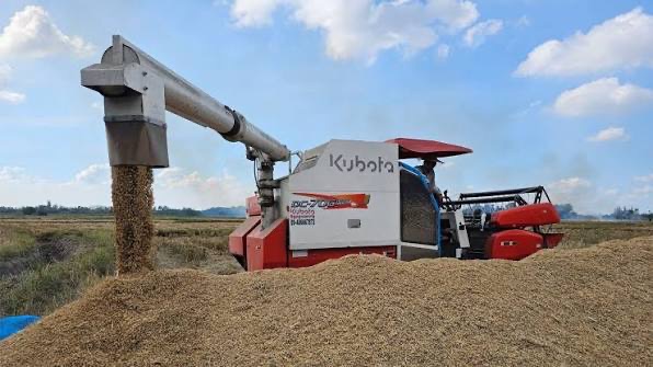 伊洛瓦底省渺弥亚县区完成8万多英亩雨季稻收割工作