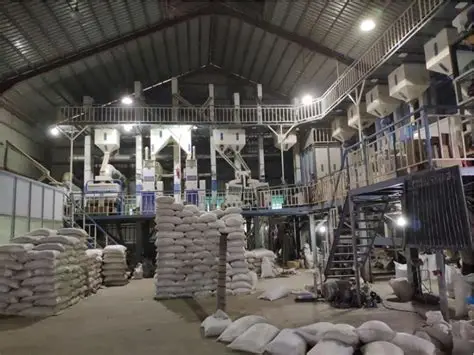 伊洛瓦底省瓦溪码县区上个月期间向仰光输送出大量巴康品种大米