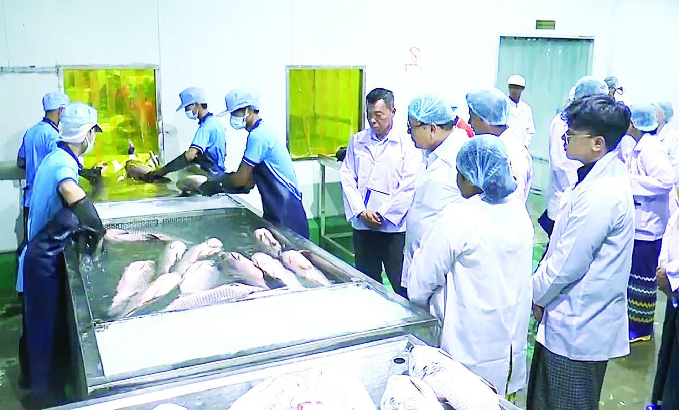 农业部承诺协助解决水产行业困难，推动出口创汇