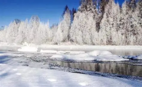 雪并不孤独  (苏丽蓉)