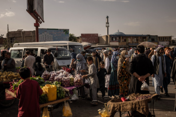 中亚阿富汗国家2025年度出口贸易增长230%