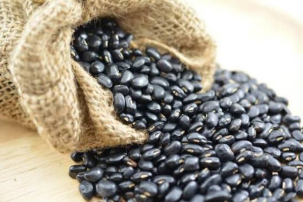 实皆省德拜茵县区冬季规划种植1.5万多英亩黑麦豆已种6千英亩