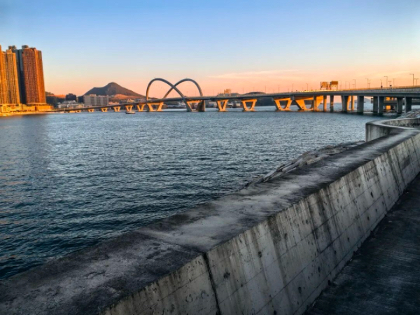 《元宵晨寄》 (杨友才)