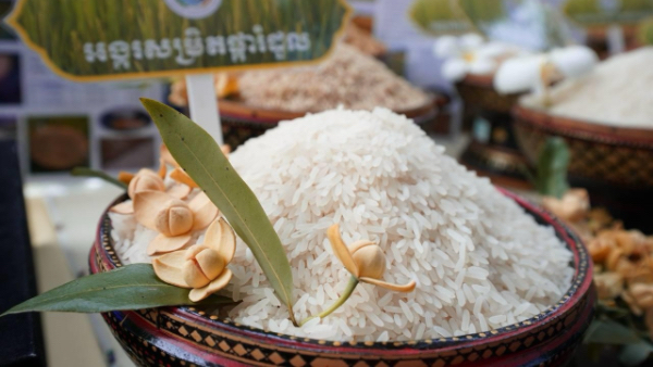 2026年度2月份柬埔寨国家大米出口明显增加