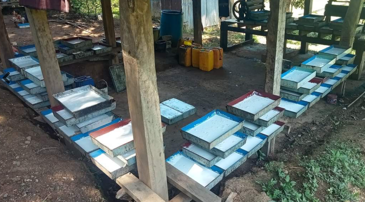 缅甸本财年橡胶出口创汇近4亿美元