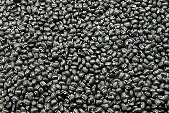 马圭省本漂县区冬季种植的黄油豆及黑麦豆已全部完成采收工作