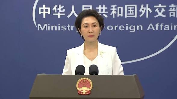 中方三艘船舶过航霍尔木兹海峡