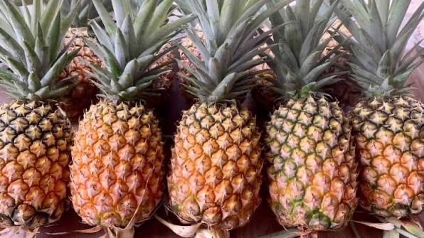 德林达依省土瓦专区格玲昂镇区采用地下水种植凤梨水果获得成功