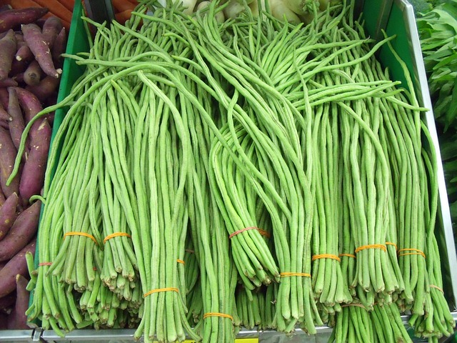 孟邦榜县种植的长豆销路良好农民们获益良多