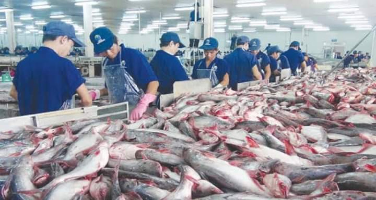 缅甸向国外出口水产品咸水产品占70%淡水产品占30%