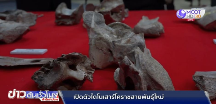 在泰国发现的的恐龙化石可能是东南亚地区最大的恐龙品种