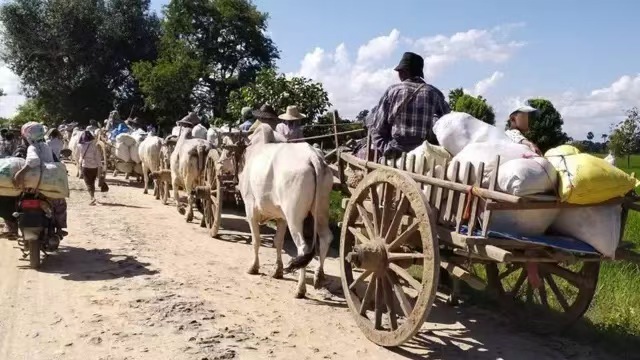 美国拨款逾2.4亿美元 援助缅甸等六国紧急人道需求