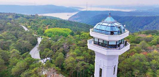 为预防山林大火土耳其国家禁止民众们进入伊斯坦堡森林地区